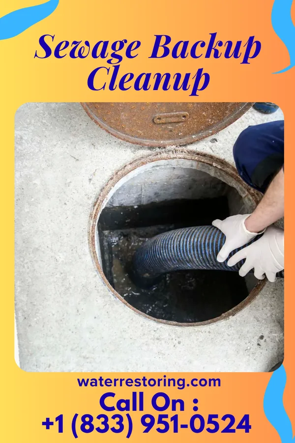 Sewage Backup Cleanup in Floyd, IA