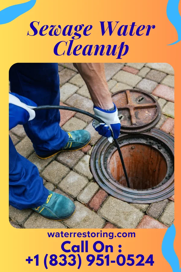 Sewage Water Cleanup in Floyd, IA